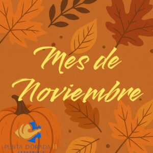 Mantenimiento Noviembre 2025